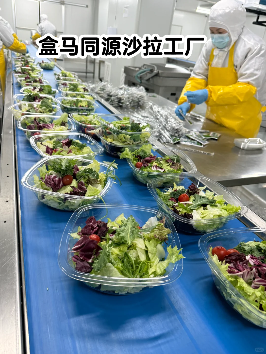 说真的！这是我见过浪费最严重的工厂…