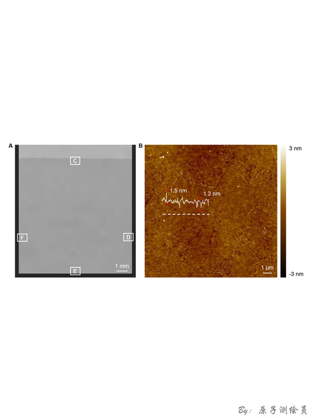 JACS:粗悬浮液中制备致密单层2D材料