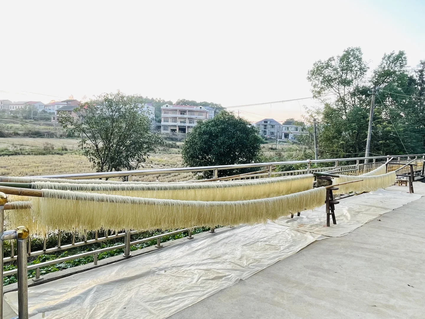 农村纯手工红薯粉