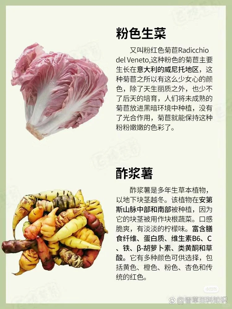 奇葩蔬菜?大赏