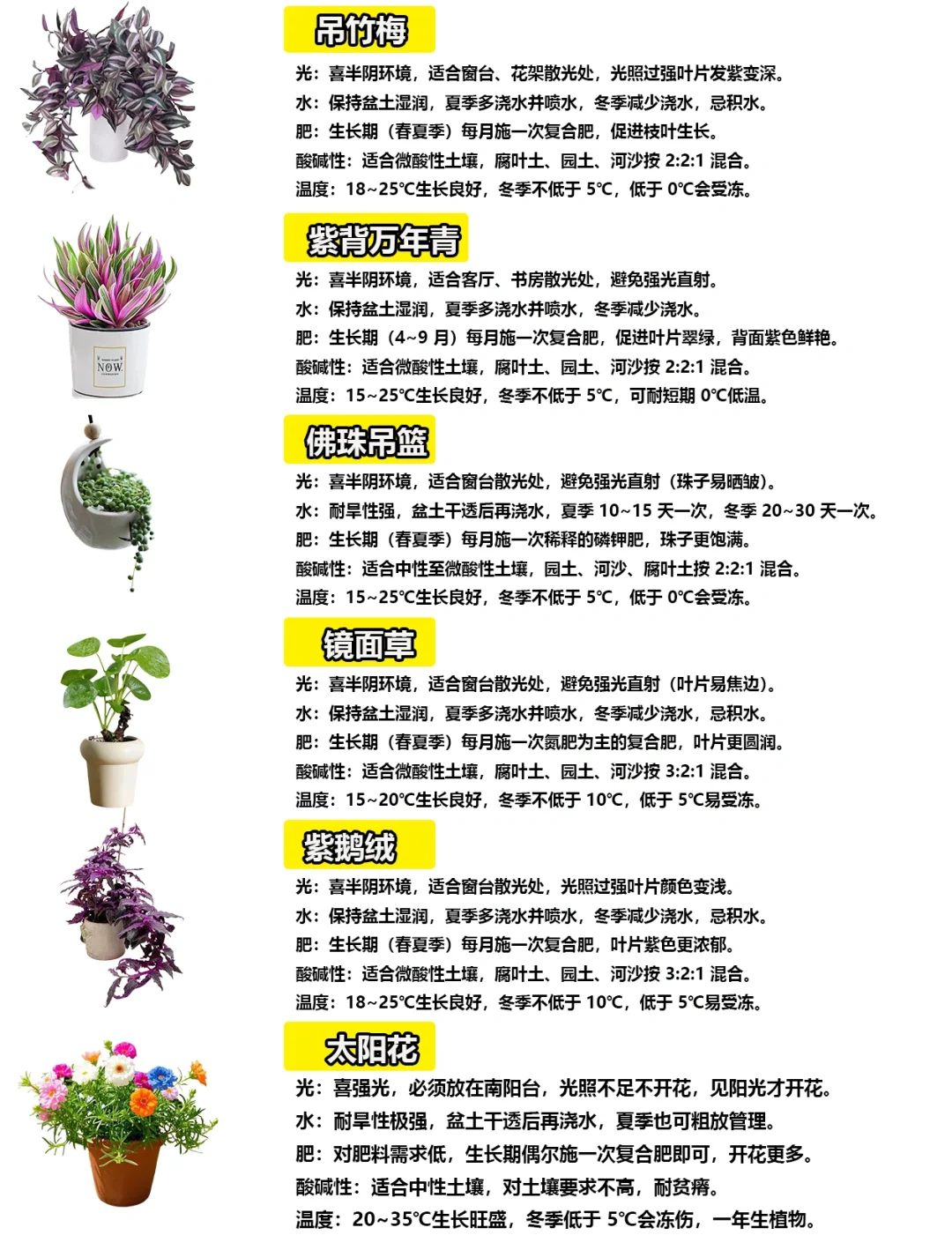108种绿植花卉养护手册大全