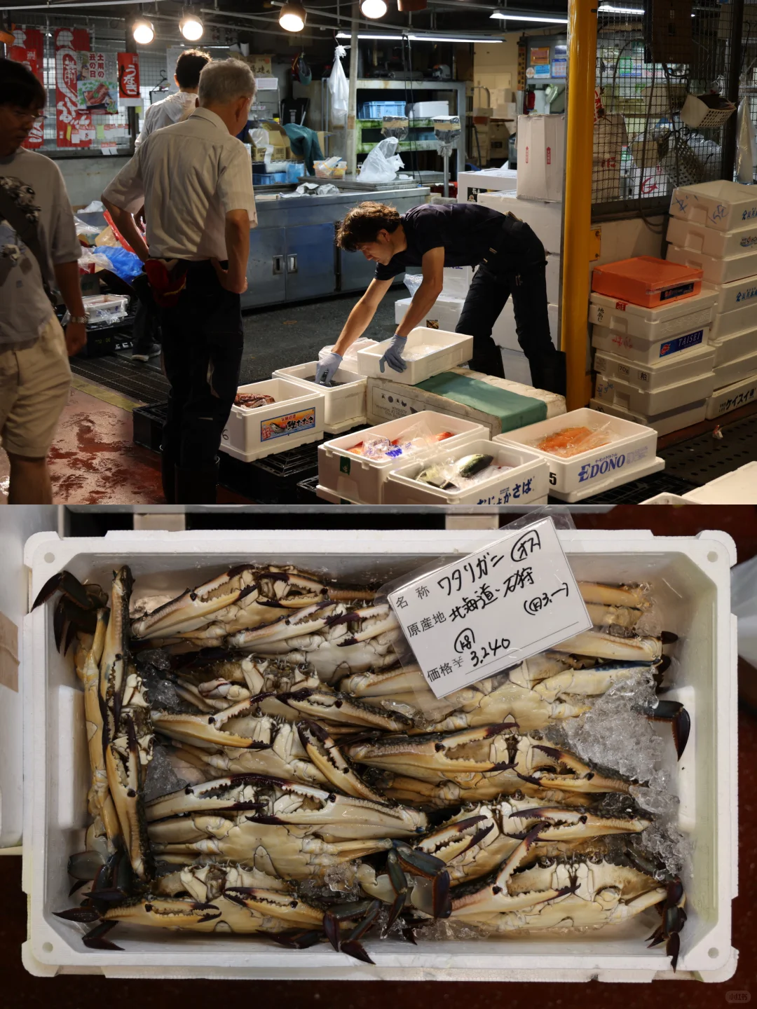 ??横滨 | 飞机一落地直奔早晨的鱼市场