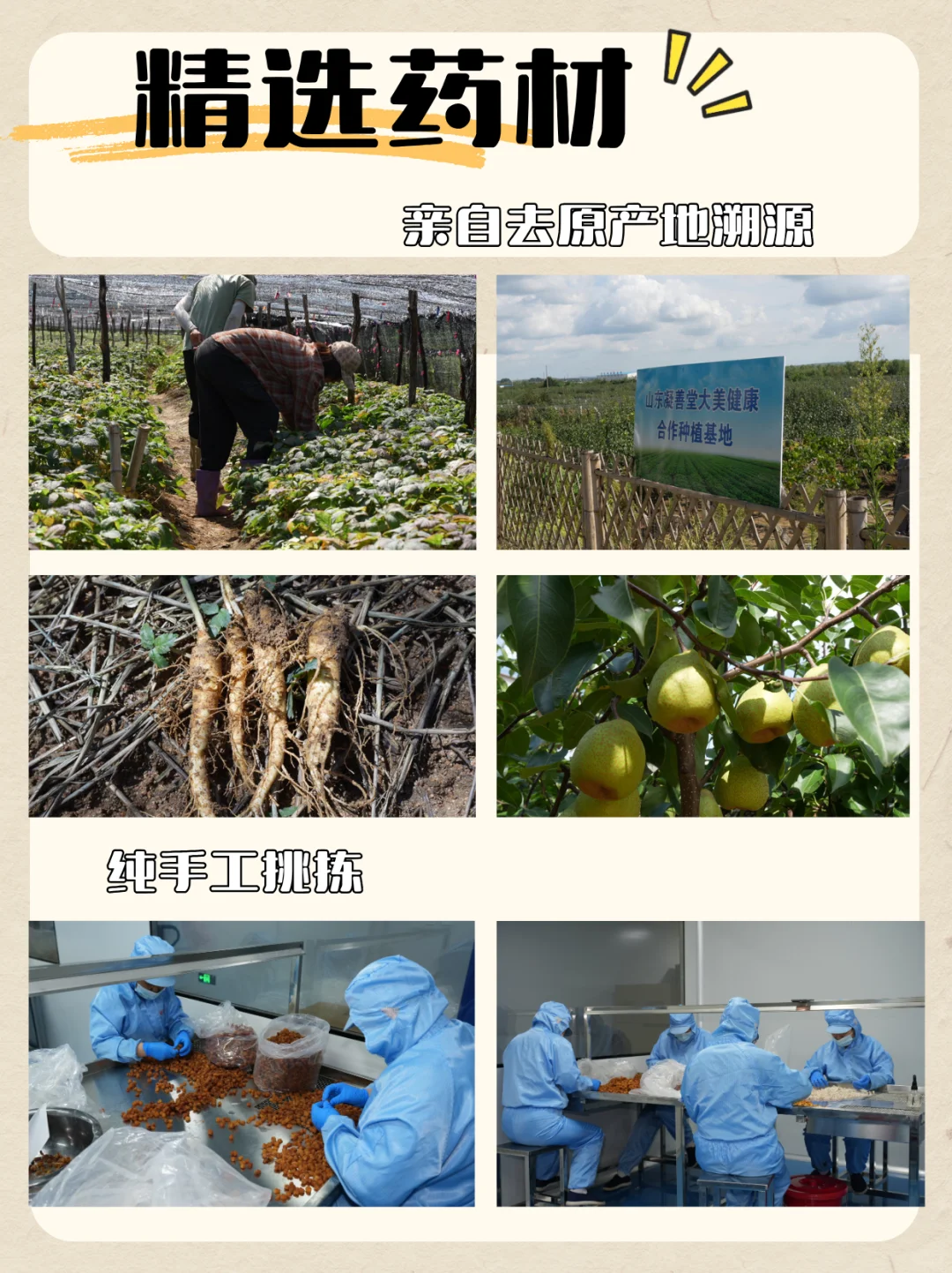 ?凝善堂大健康,源头工厂等你来探秘