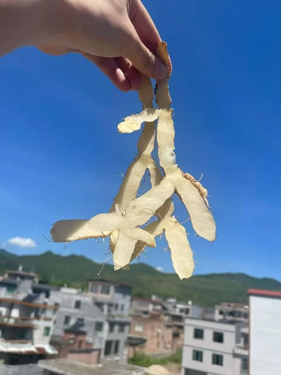 绝佳药材