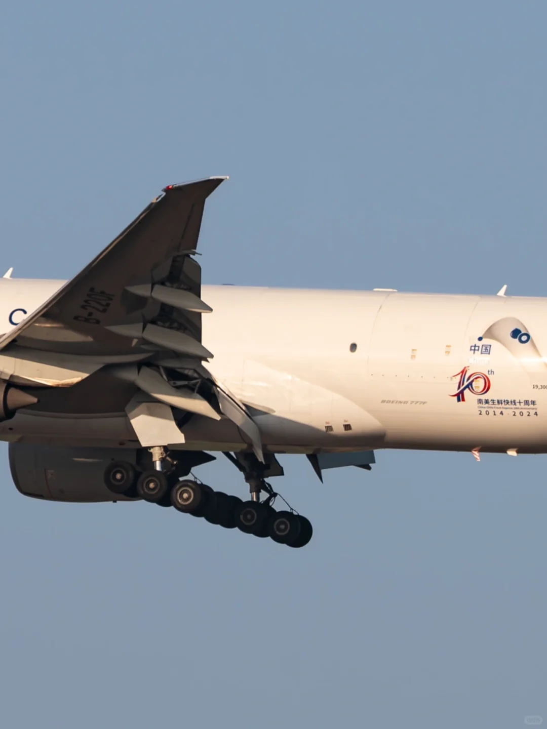 2014-2024|南美生鲜快运十周年