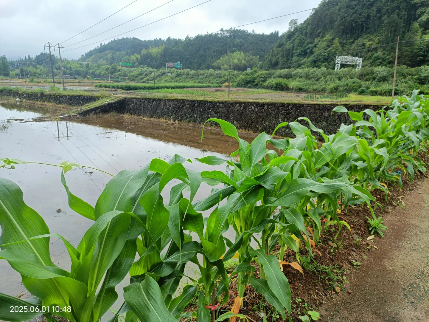 观察农村老人,发现了养老的真相