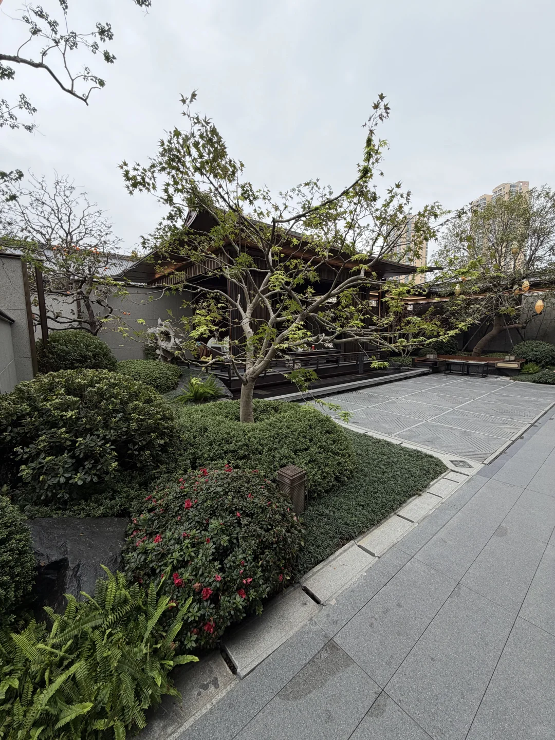 无锡建发观云|掏心窝子测评!优缺点全扒不