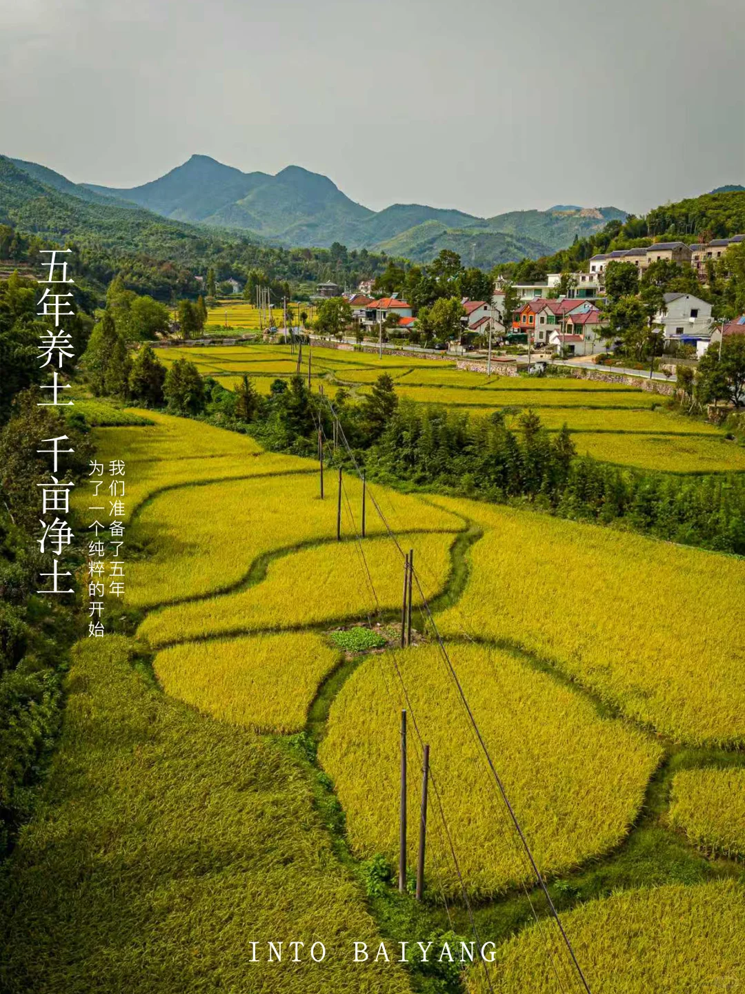 新农人招募令 | 1000亩农田净土在等你