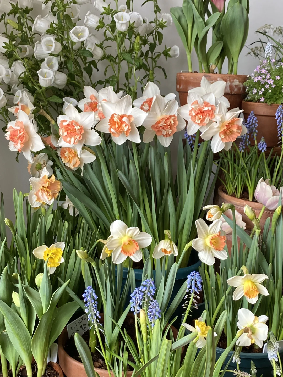 此时此刻我家???