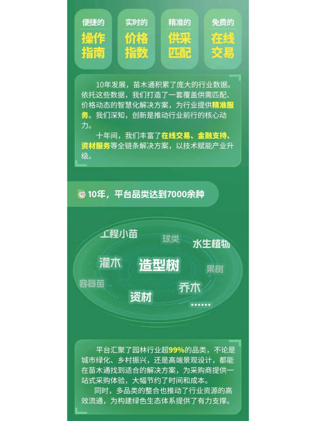 苗木通十周年：十载领航，越寒焕春