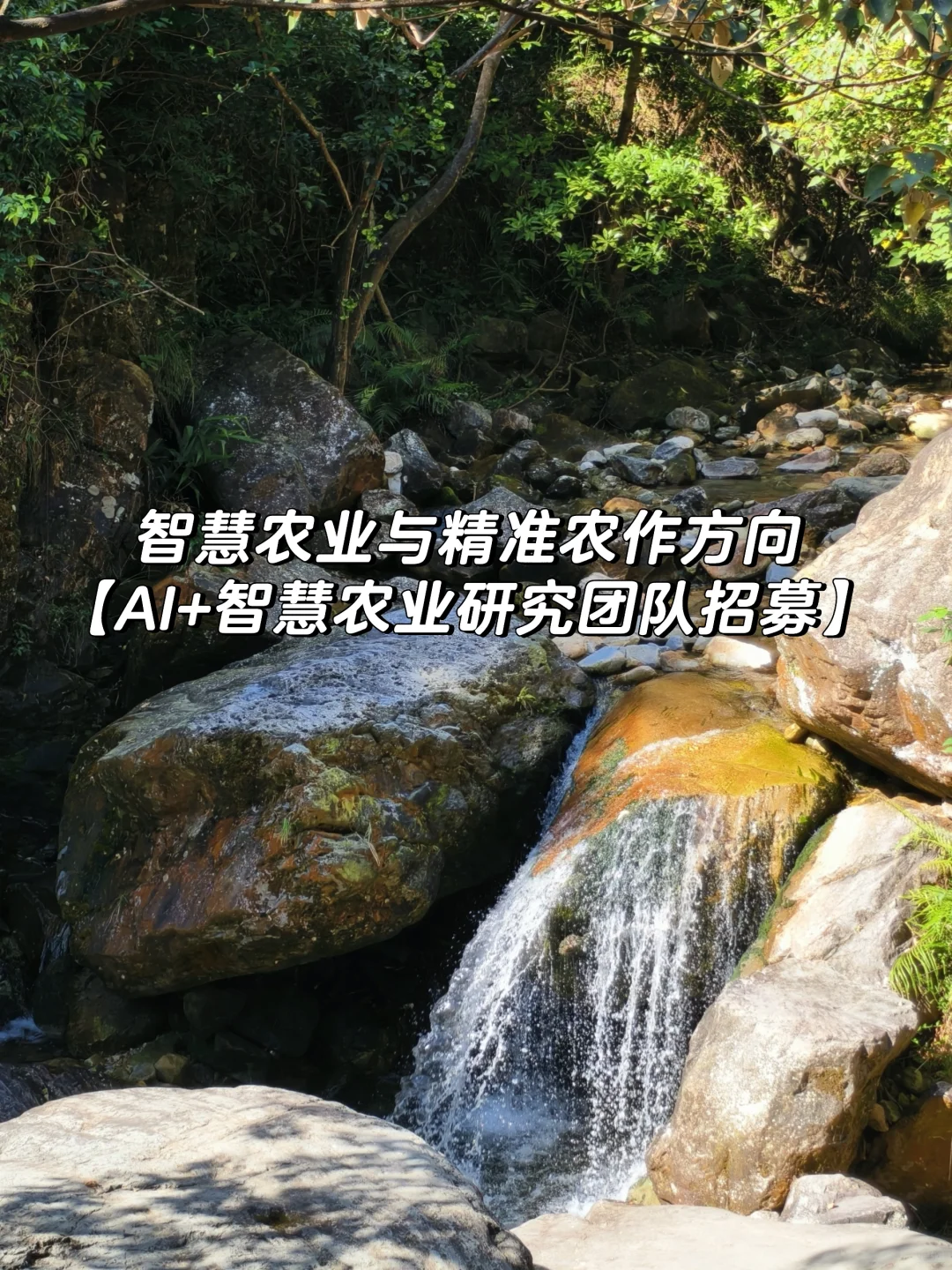 智慧农业与精准农作方向