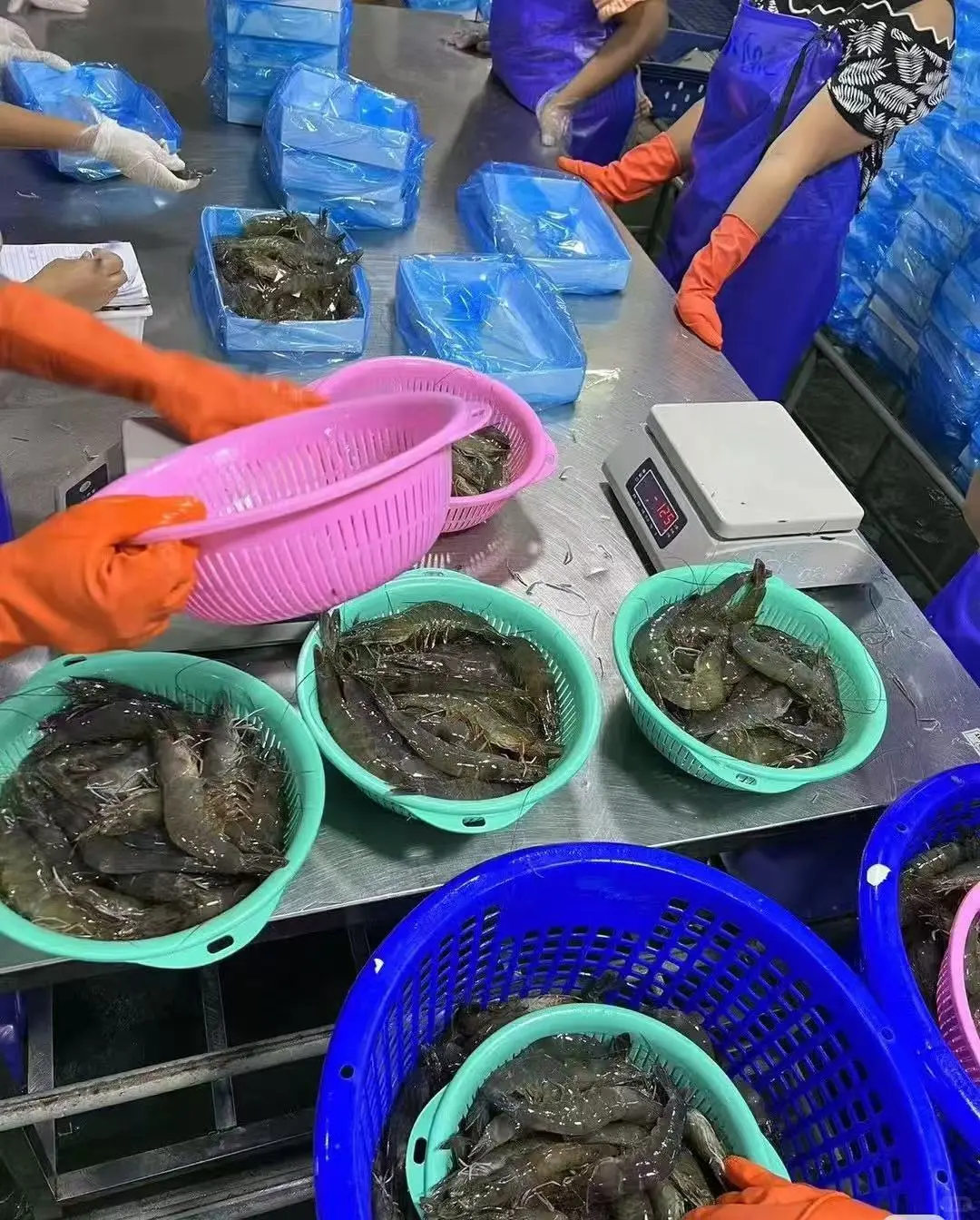 东西湖居然有分拣打包海鲜产品的活 长白班