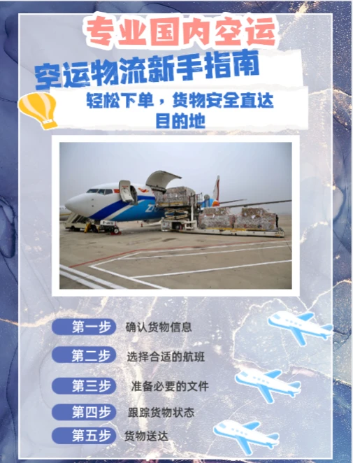 专业国内空运