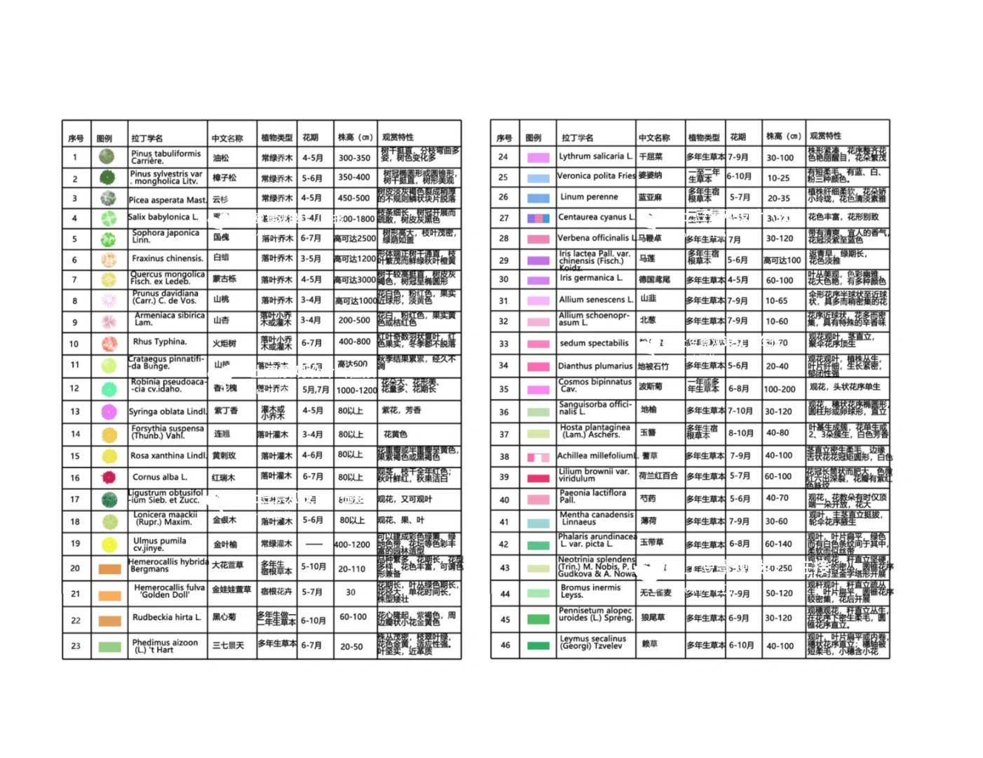 北方万能植物名录表(苗木表