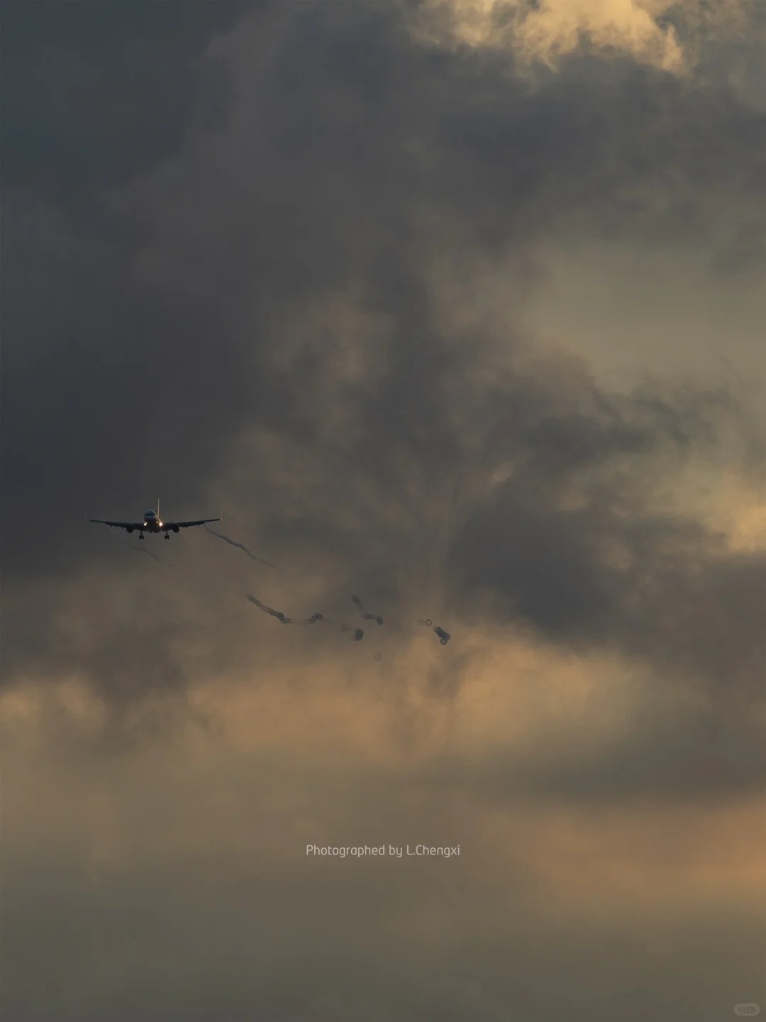 高崎日记179｜你的快递?一大早就在天上飞