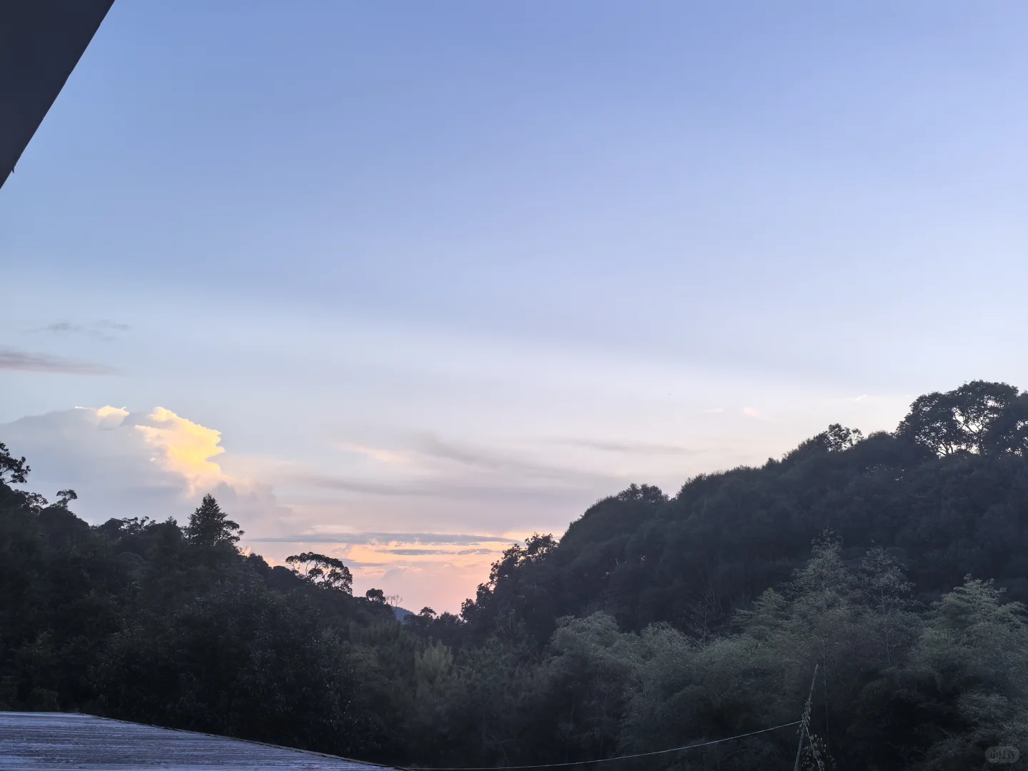 香菇，你就是我的精神粮食香菇???