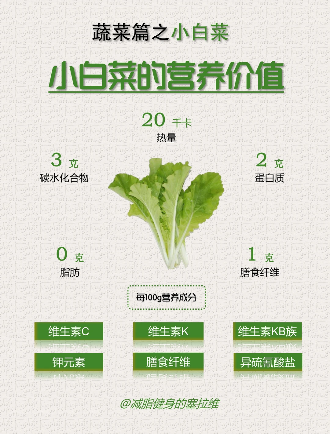 小白菜的营养价值