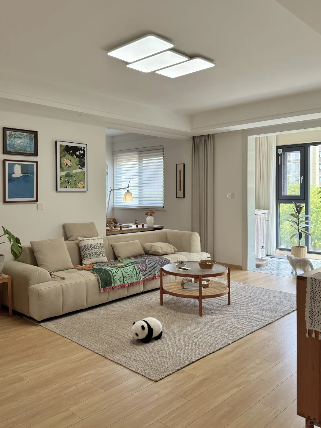 我的小小阳台绿植角初见雏形啦✨