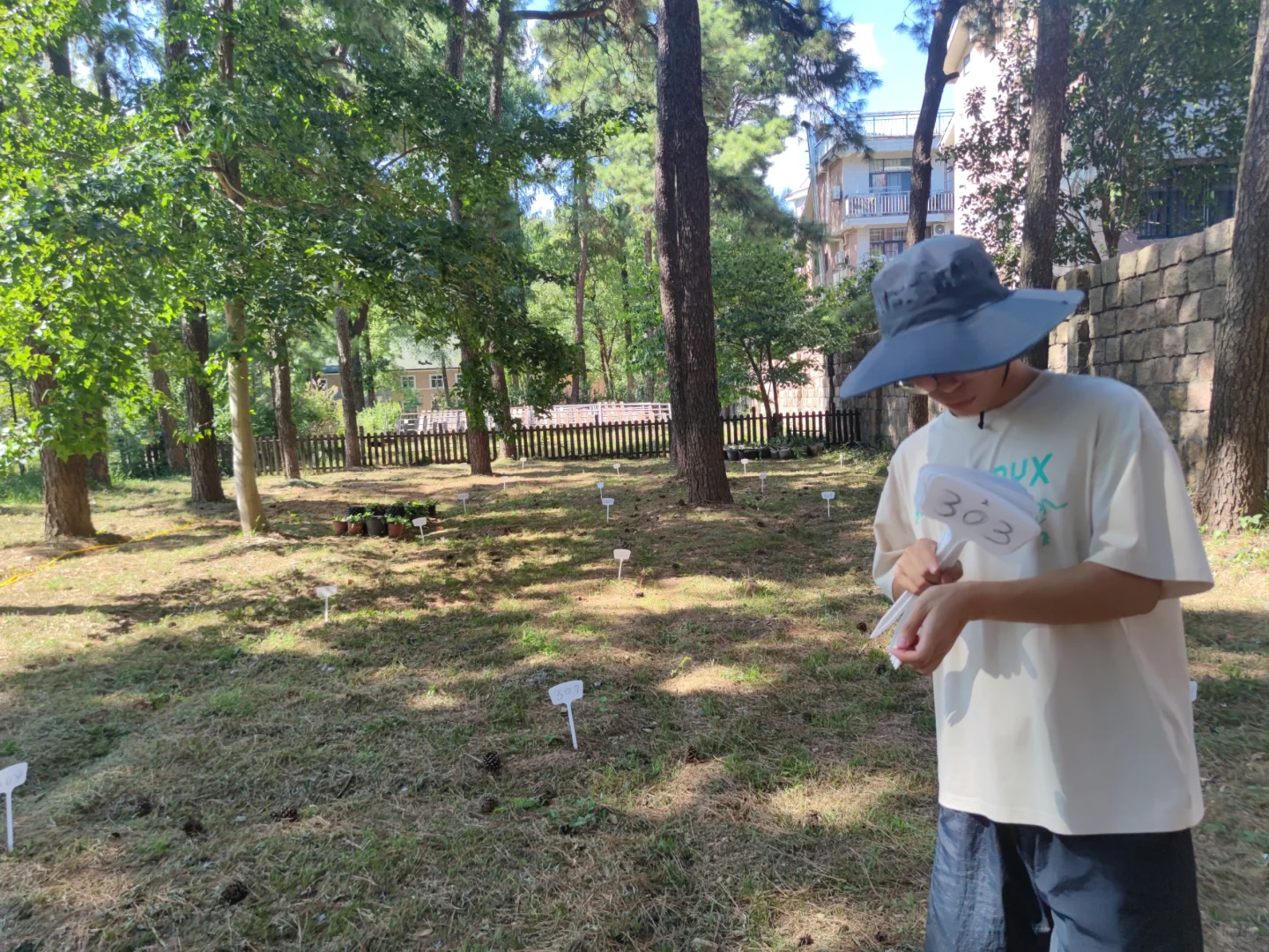 林下经济:宝藏就在树下财富与生态共赢