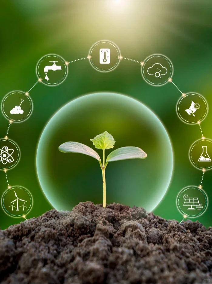 圣洁青蛙土壤消毒重构土壤微生态平衡