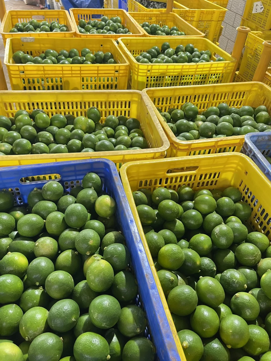 ?小潮人下乡记? Day3～