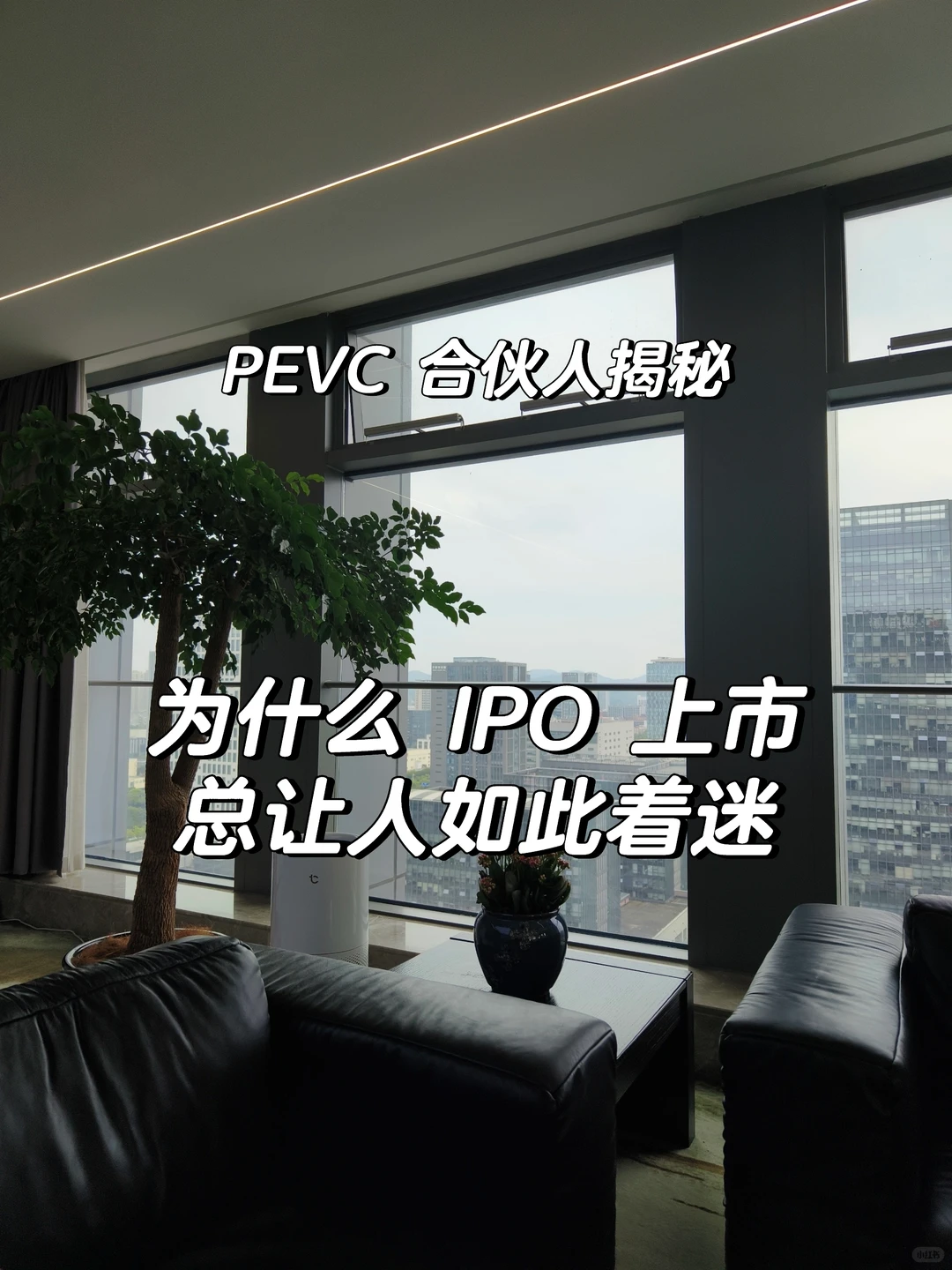 PEVC合伙人揭秘：为什么 IPO上市总让人着迷