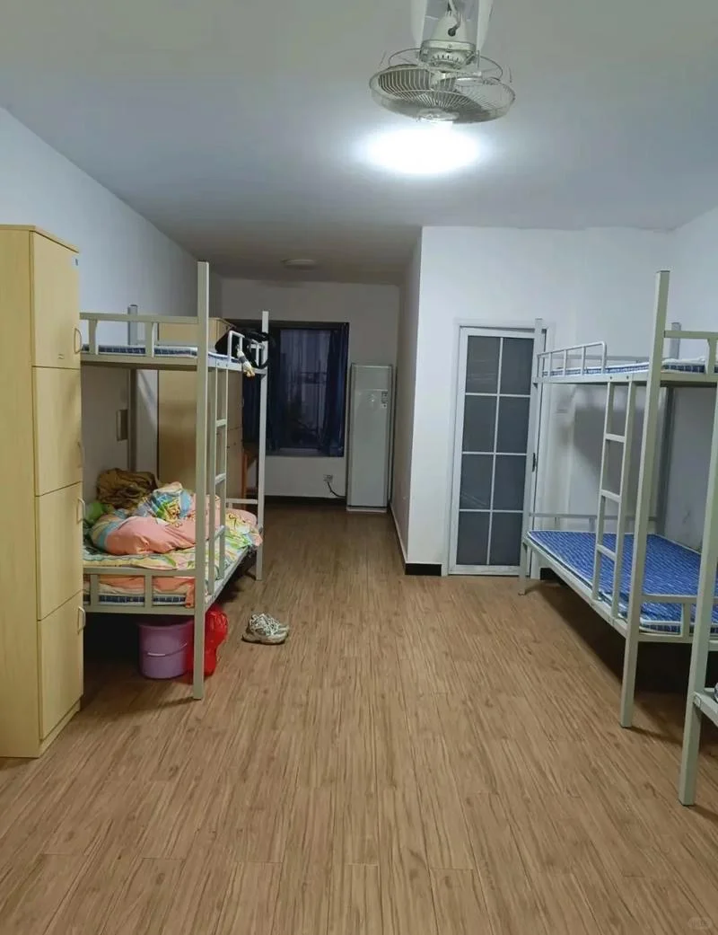 考完试，来石家庄酸奶厂啦