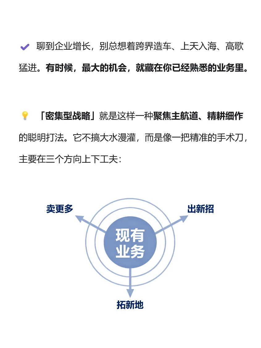 13- ??? 企业总体战略类型｜密集型战略