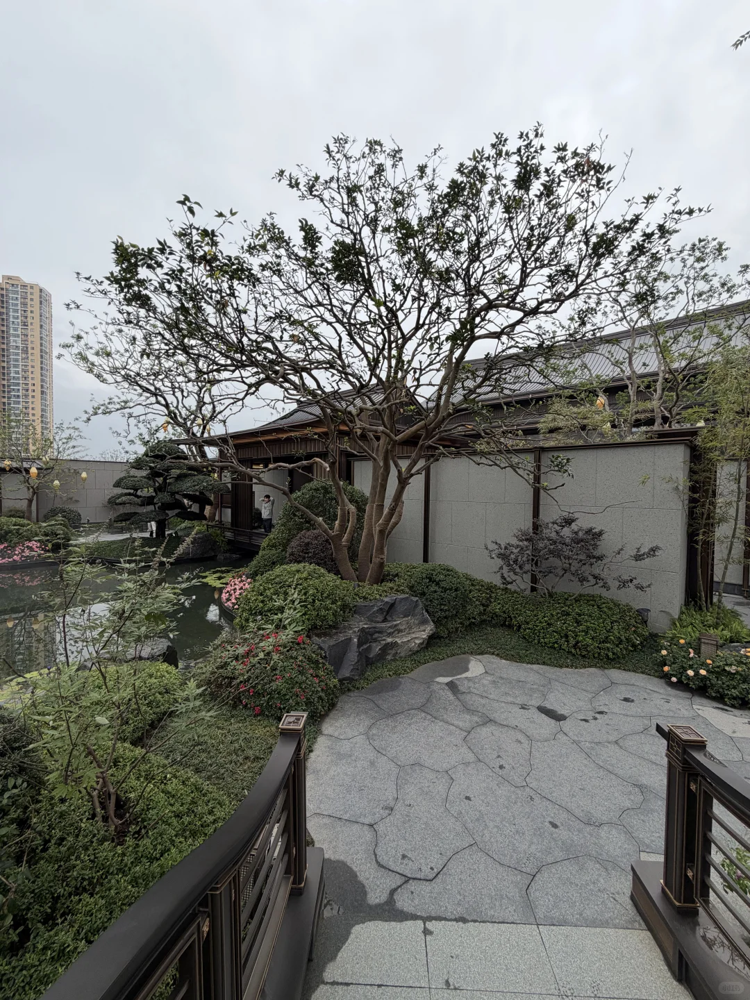 无锡建发观云|掏心窝子测评!优缺点全扒不