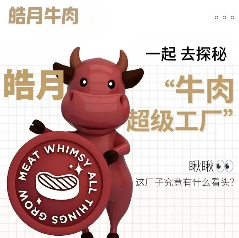 走进“牛肉超级工厂“探秘肉牛产业”