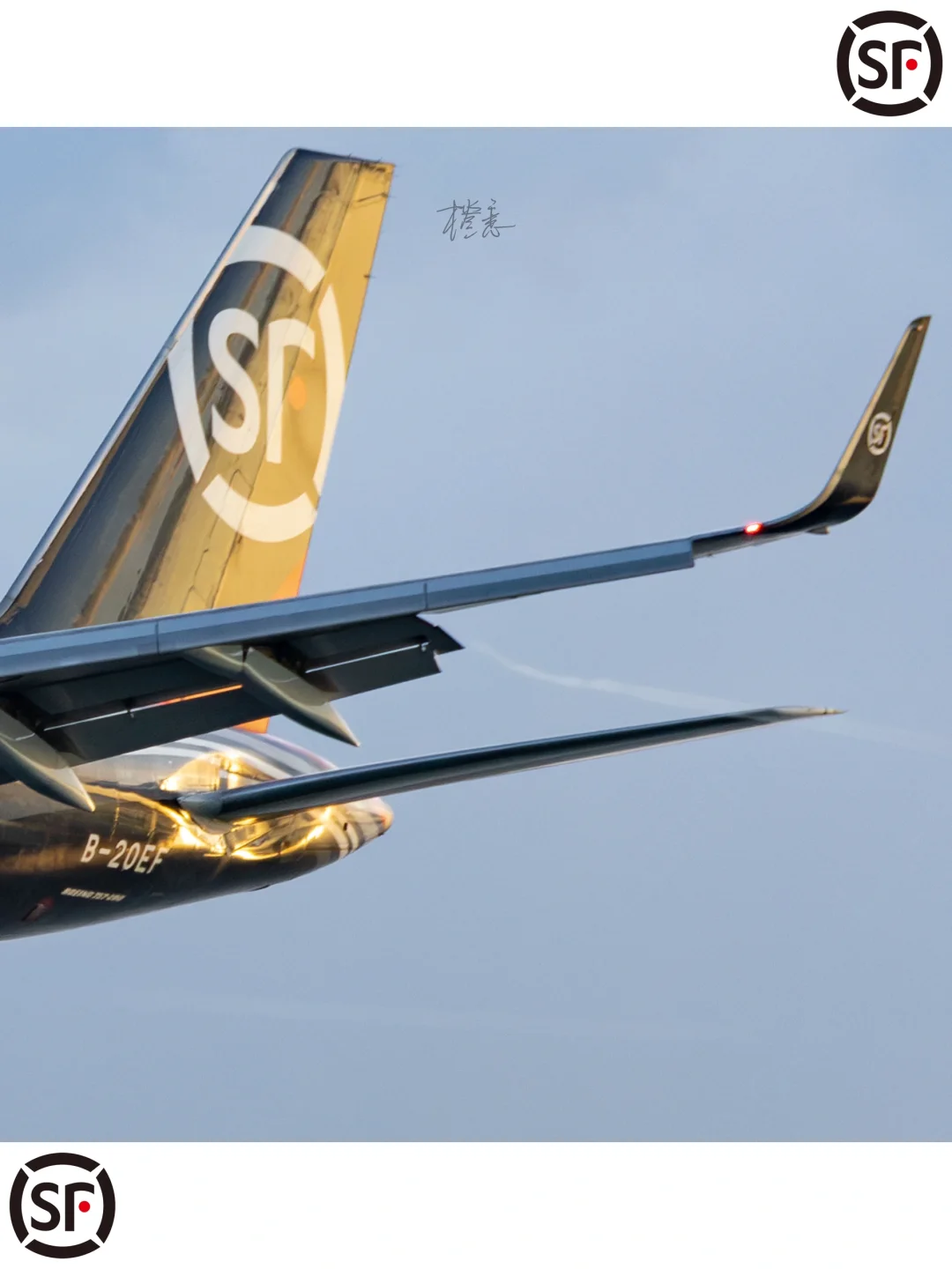 高崎日记179｜你的快递?一大早就在天上飞