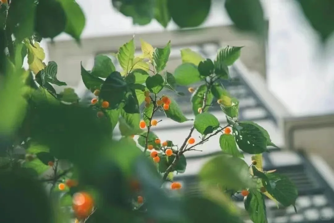 思考解决就业问题2