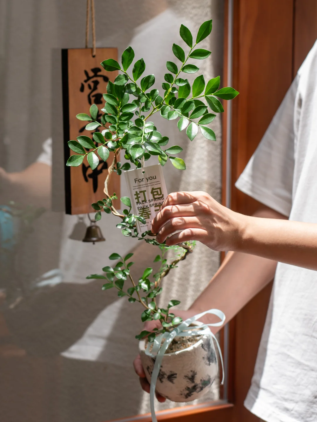 一进门就为这九里香着迷！??