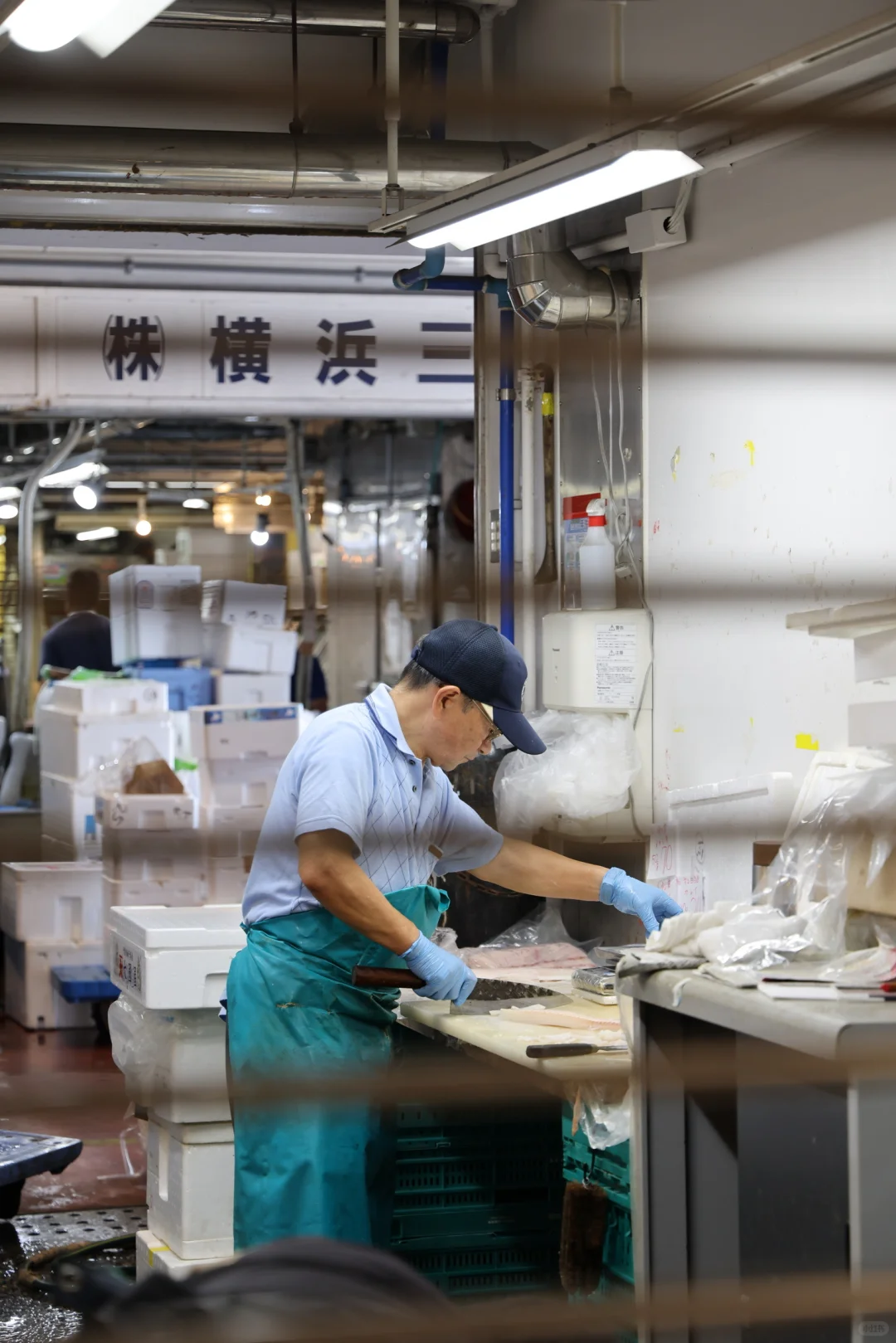 ??横滨 | 飞机一落地直奔早晨的鱼市场