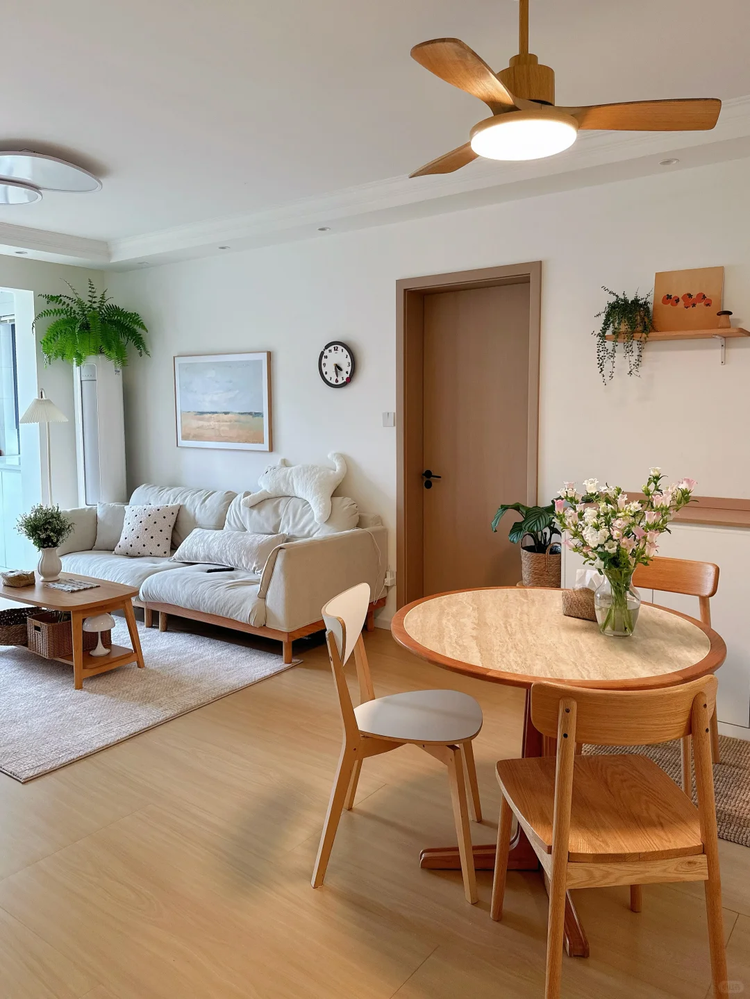 原木风小家入住一年，分享家里的一些植物