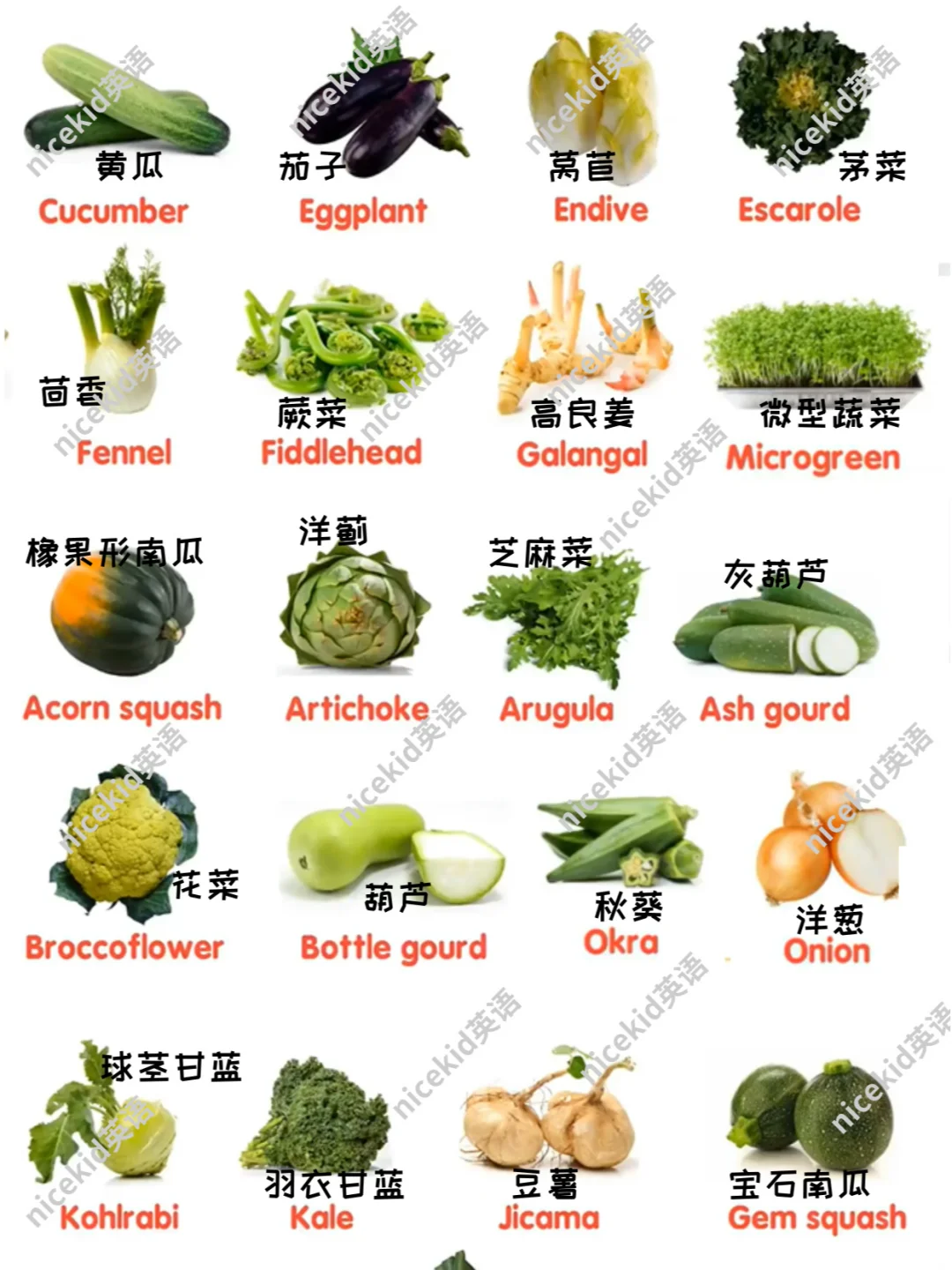 英语启蒙-各种蔬菜相关的英语单词表达集合
