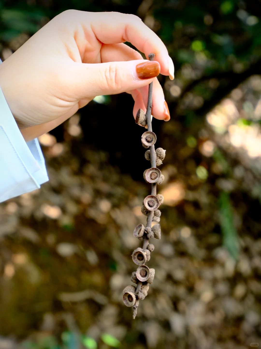 上虞降温首爬 | 梁祝古道环线秋意浓浓?