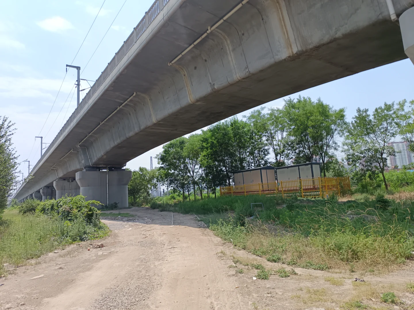 最早生产磷农药的国企是如何把自己逼没的