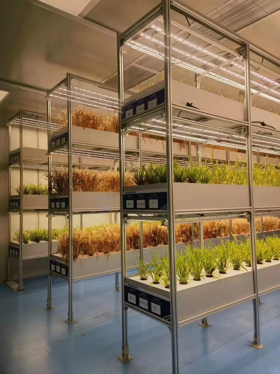 智能化对于设施农业种植非常重要?