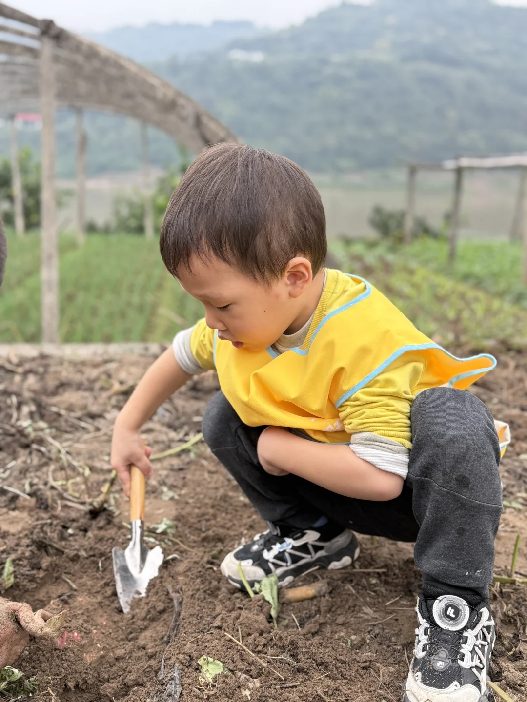 亲子游 | 巴南中坝岛 蔬菜采摘