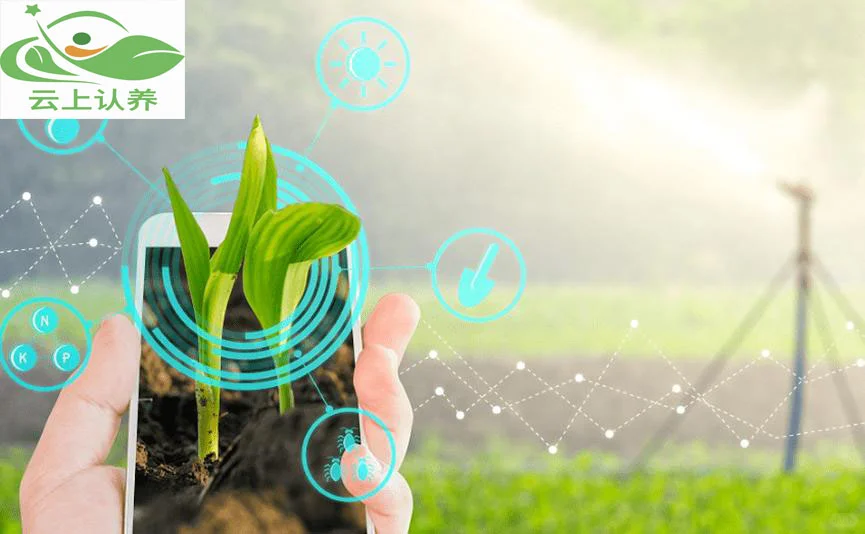 云上认养——发展智慧农业究竟有哪些优势？