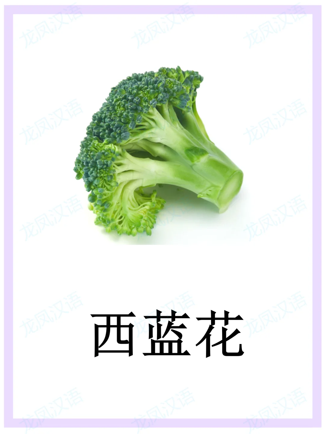 蔬菜闪卡//华裔学中文
