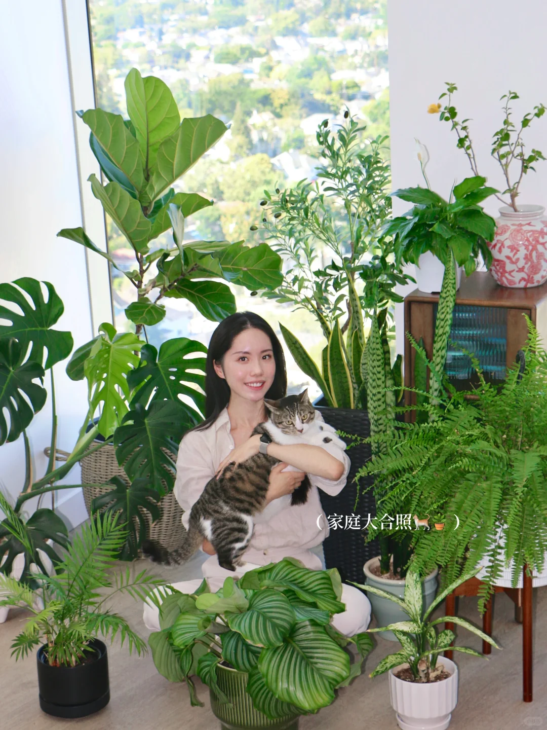 懒人轻松养??氛围感能量绿植分享