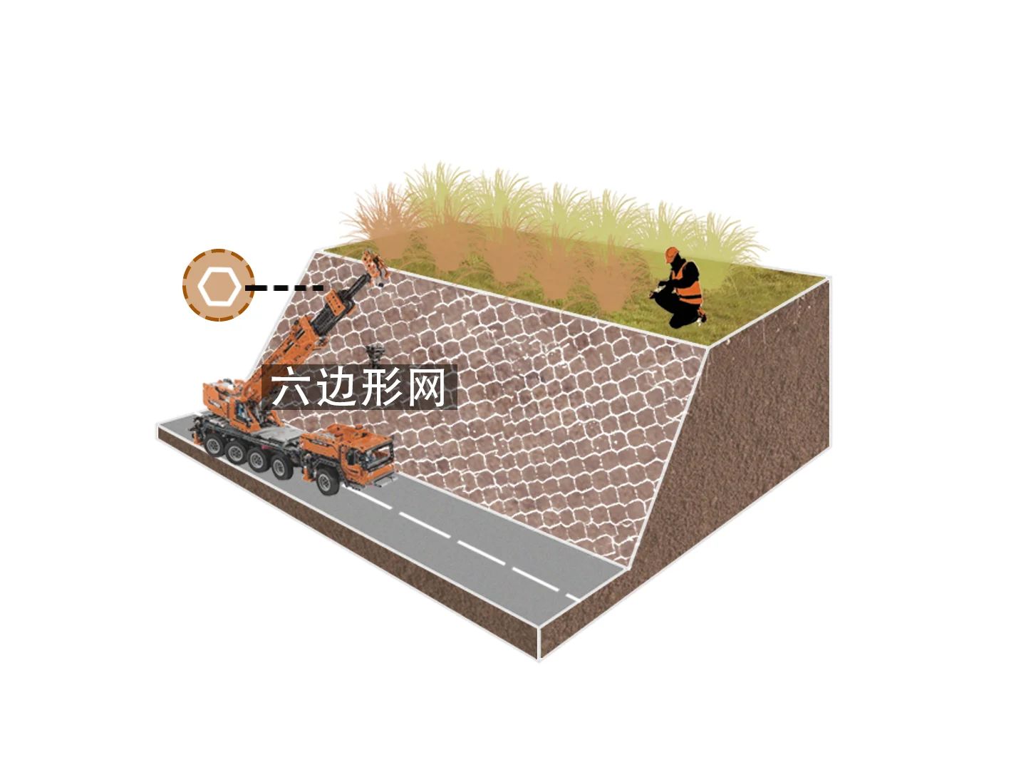 ?生态土壤 |山体修复分析体块 |展板☘️