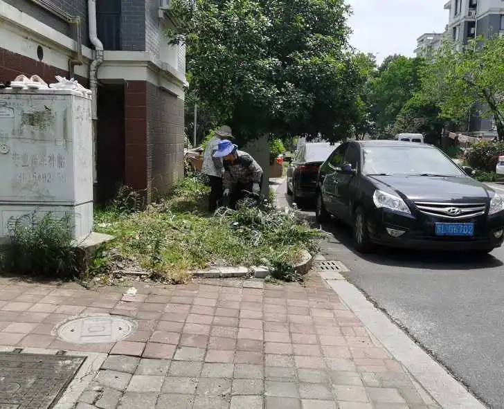 绿化养护施工