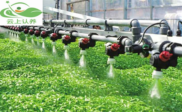云上认养—智慧农业：未来农业发展新趋势！