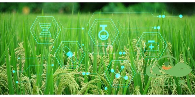 云上认养—现代农业的多样性(可视化农业)