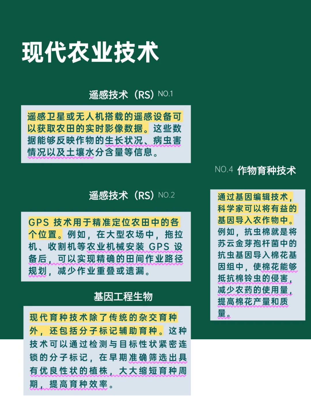 ?现代化农业种植,开启绿色未来之旅?