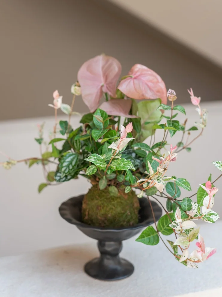 谁家滴“三生有幸”这么美捏？?