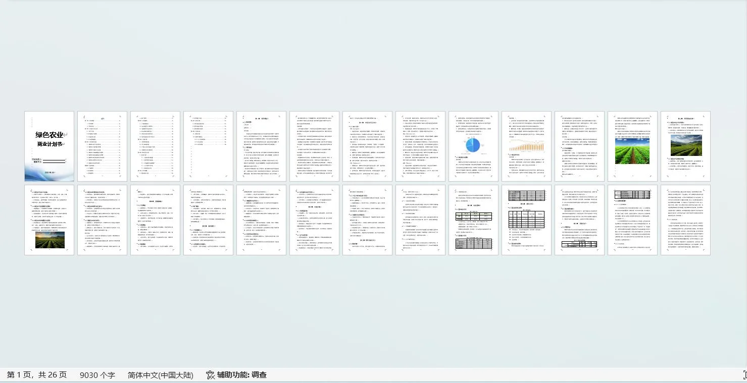 绿色农业商业计划书word＋PPT
